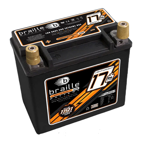 Braille B2317 Lightweight AGM Battery